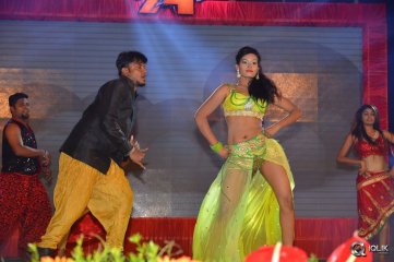 Akhil Movie Platinum Disc Function